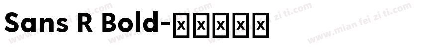 Sans R Bold字体转换